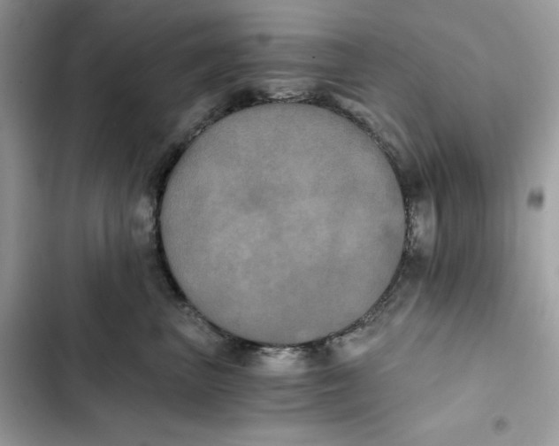 X0000101950667200808151254