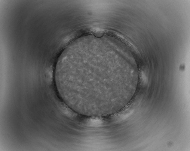 X0000101950668200808151254