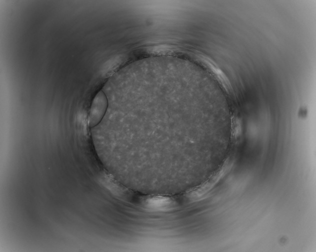 X0000101950669200808151254