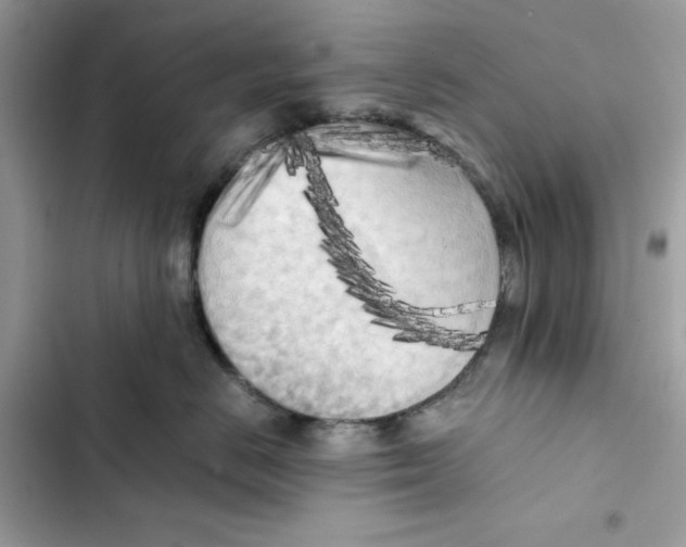 X0000101950670200808151254