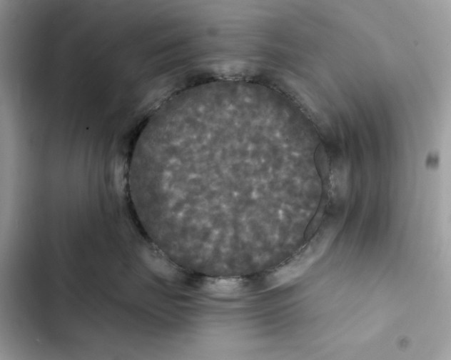 X0000101950671200808151254