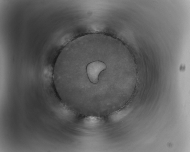 X0000101950672200808151254