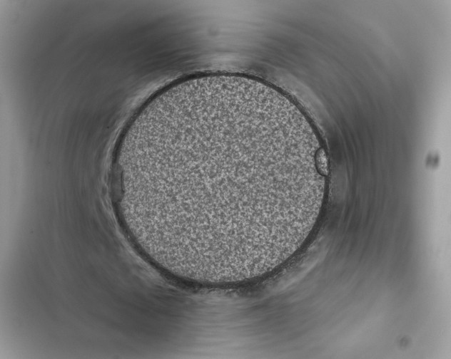 X0000101950673200808151253