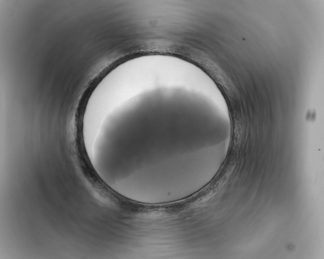X0000101950674200808151253
