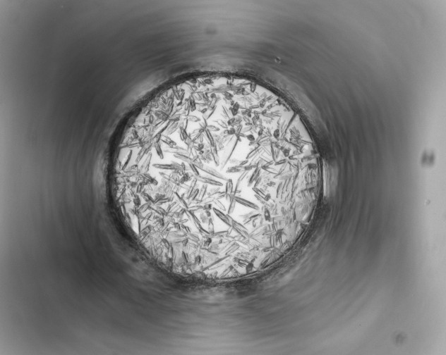 X0000101950675200808151253
