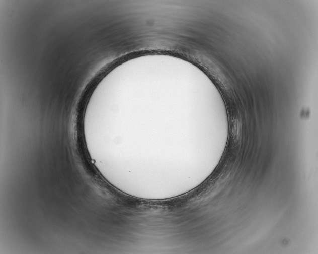 X0000101950676200808151253