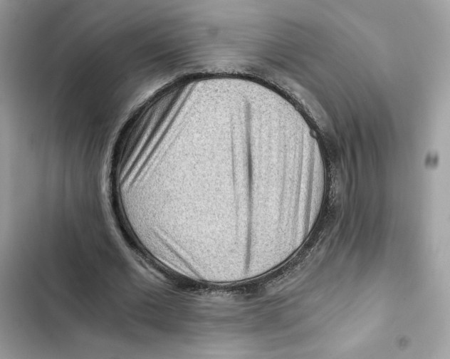 X0000101950677200808151253