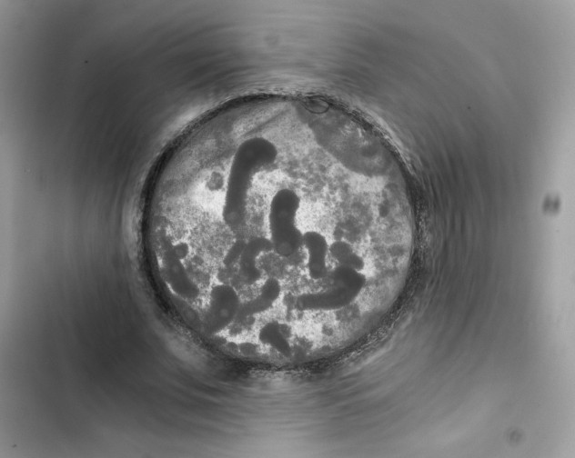 X0000101950679200808151253
