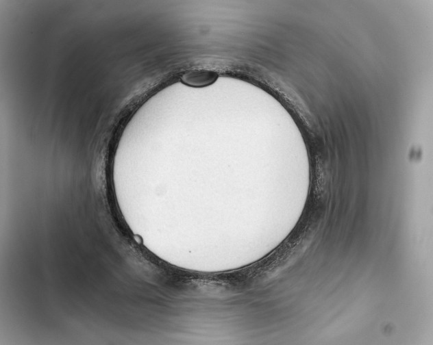 X0000101950681200808151253