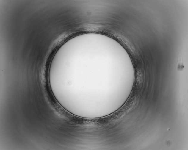 X0000101950682200808151253