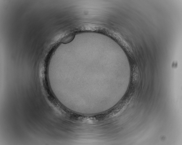 X0000101950683200808151253