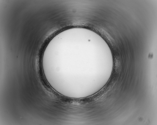 X0000101950684200808151253