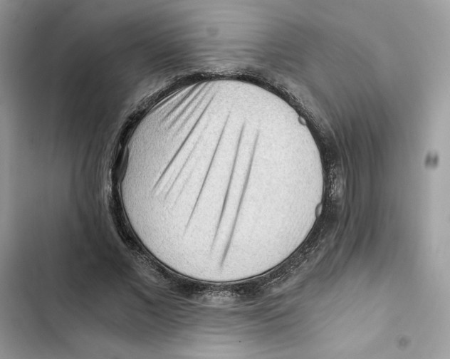 X0000101950685200808151253