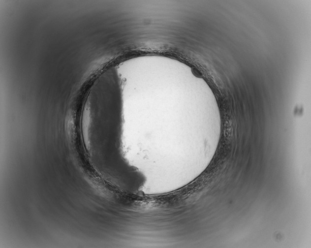 X0000101950688200808151253