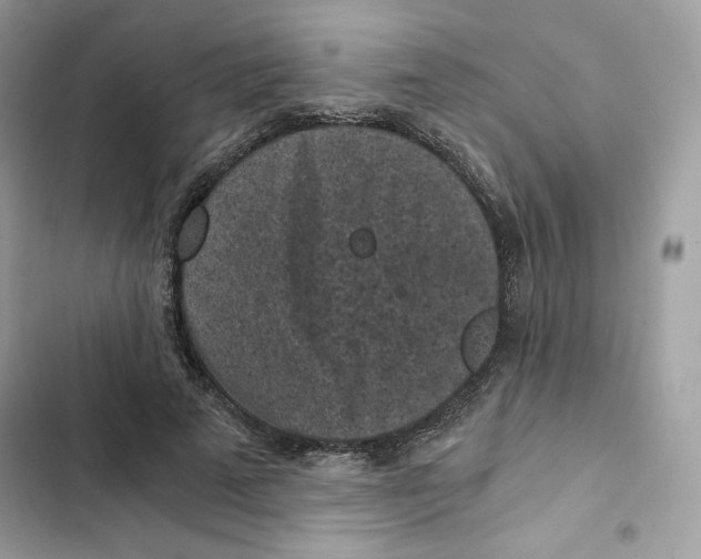 X0000101950689200808151253