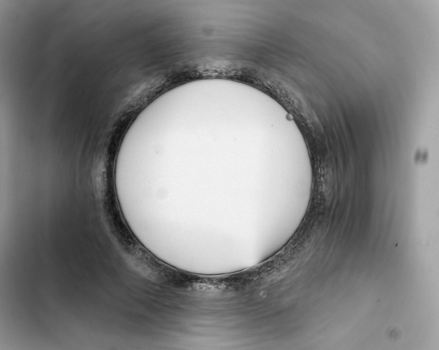 X0000101950690200808151253
