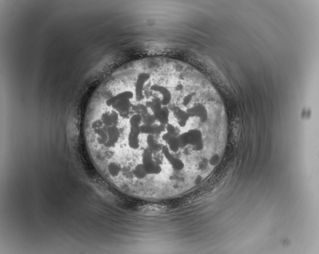 X0000101950691200808151253