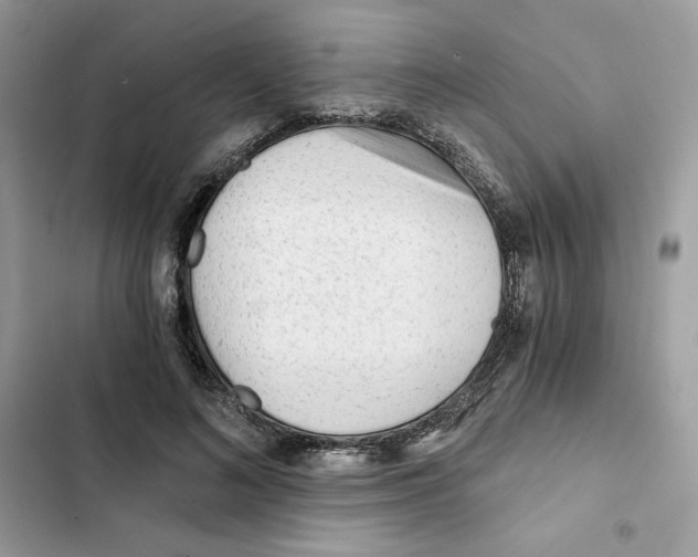 X0000101950692200808151253