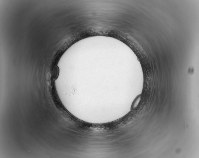 X0000101950693200808151253