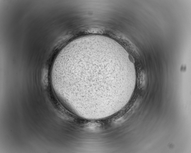 X0000101950696200808151253