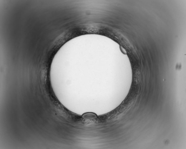 X0000101950697200808151253