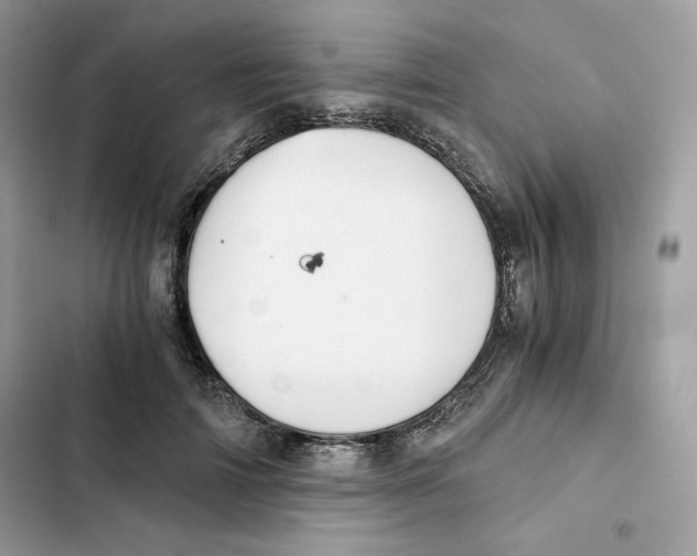 X0000101950698200808151253