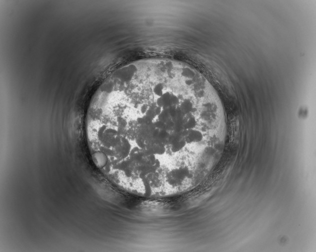 X0000101950699200808151253