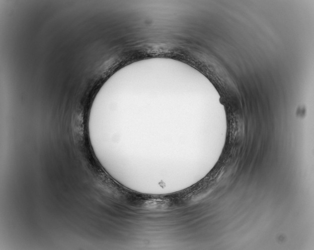 X0000101950700200808151253