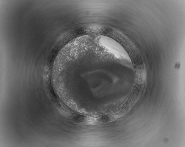 X0000101950701200808151253