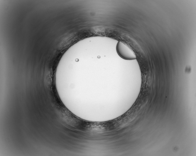 X0000101950702200808151253