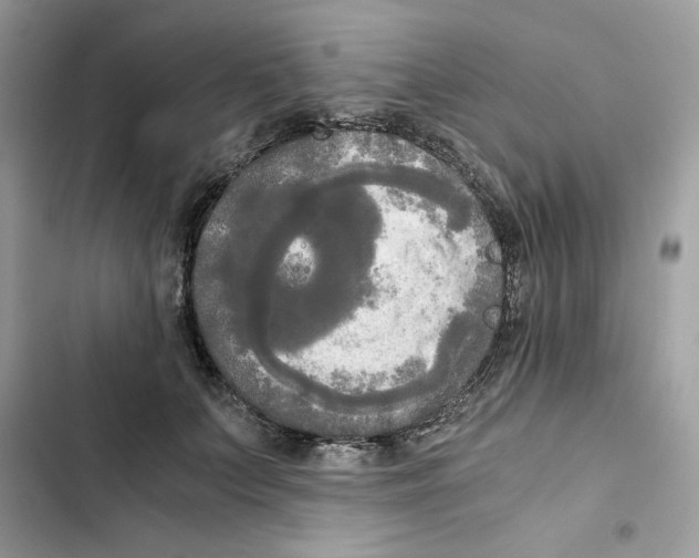 X0000101950703200808151253