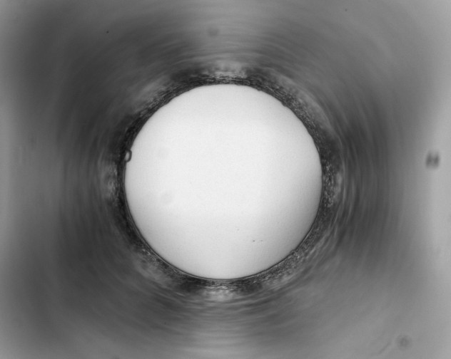 X0000101950704200808151253