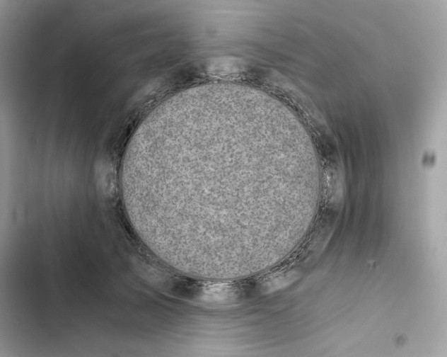 X0000101950705200808151253