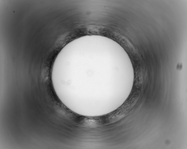 X0000101950706200808151253