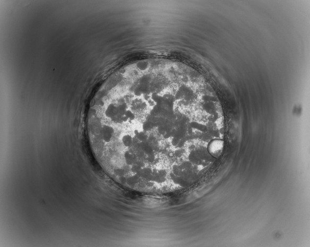 X0000101950707200808151253