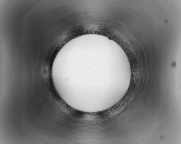 X0000101950708200808151253
