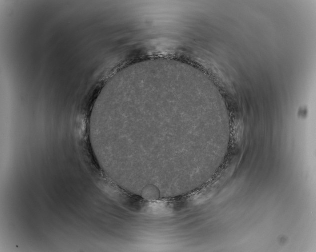 X0000101950709200808151253