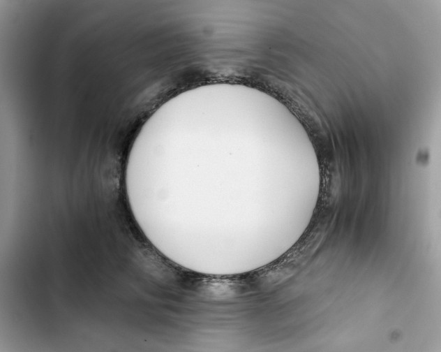 X0000101950710200808151253
