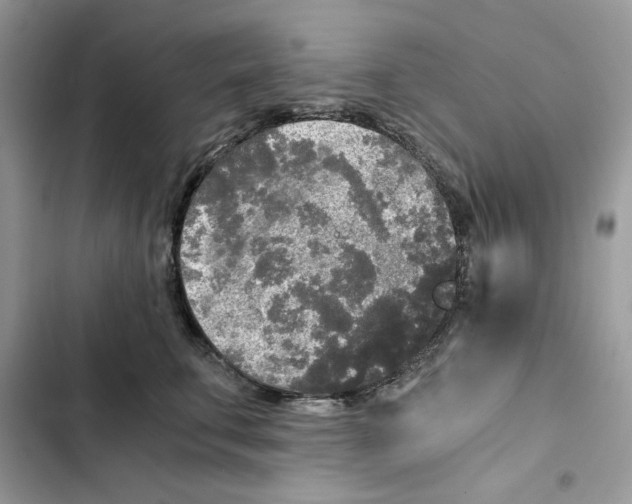 X0000101950711200808151253