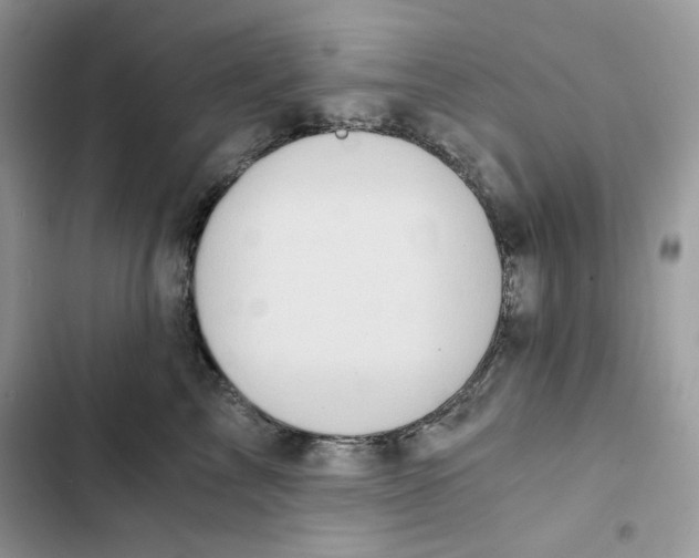 X0000101950713200808151253