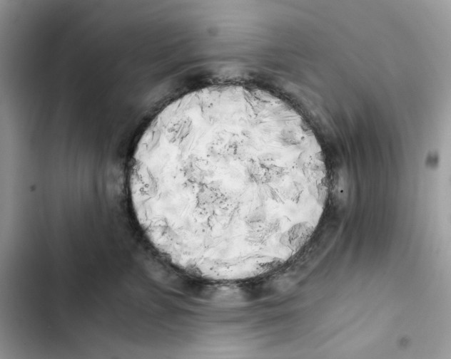 X0000101950715200808151253