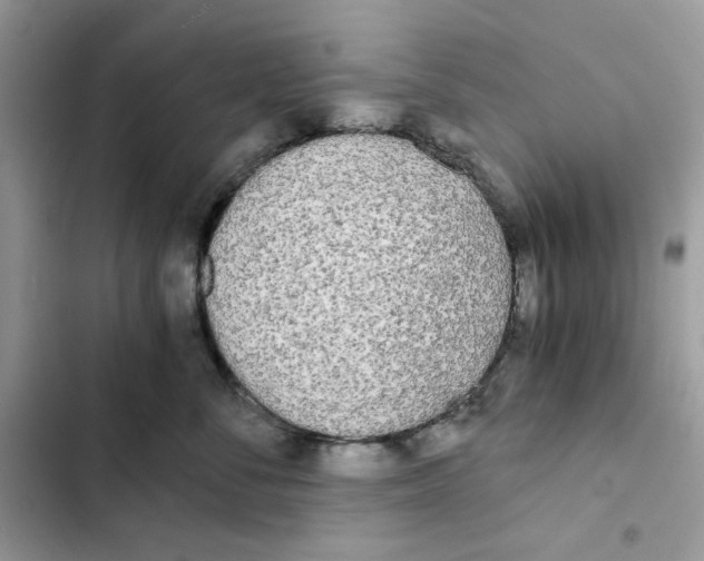 X0000101950716200808151253