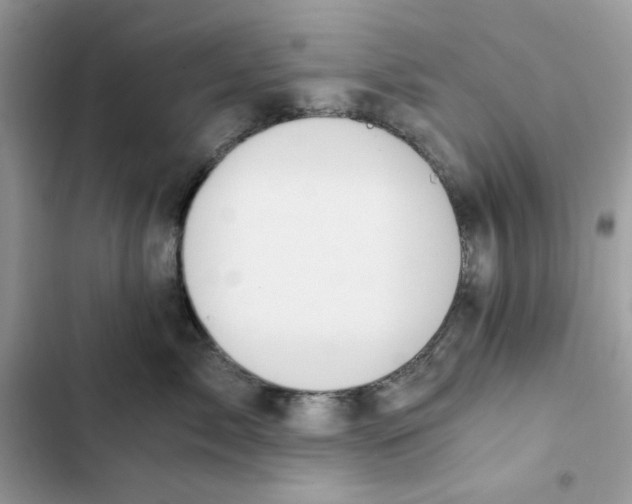 X0000101950717200808151253