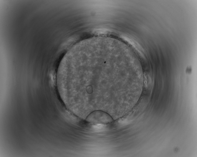 X0000101950718200808151253