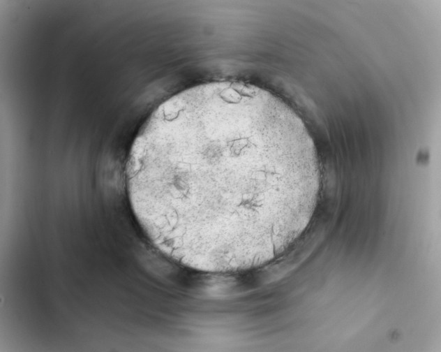 X0000101950719200808151253