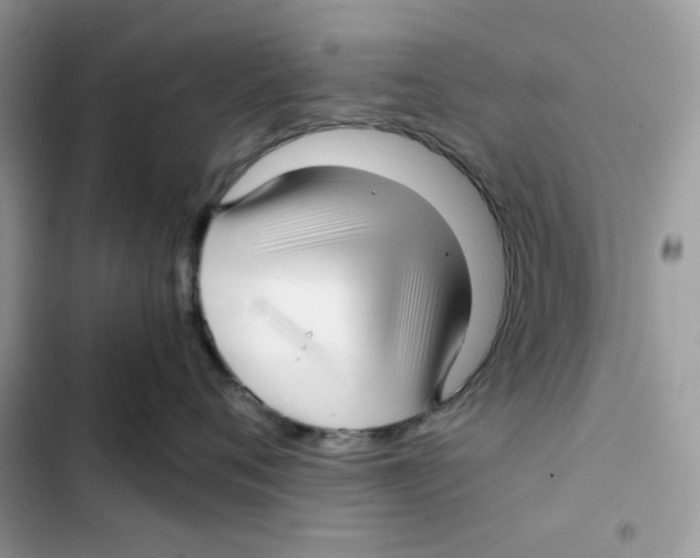 X0000101950720200808151253