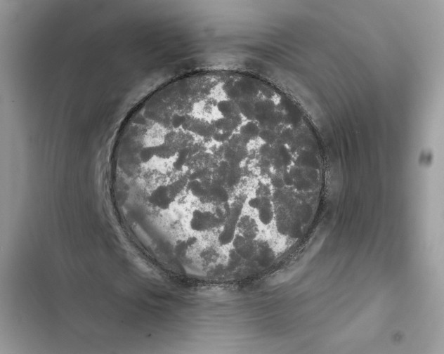X0000101950721200808151252