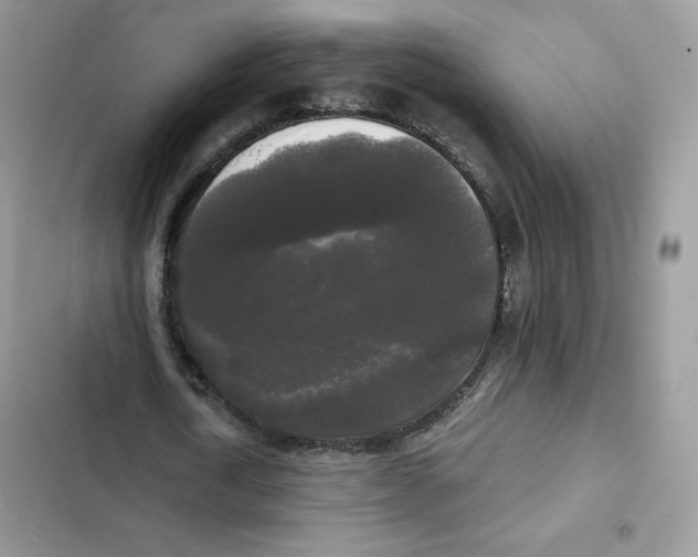 X0000101950722200808151252