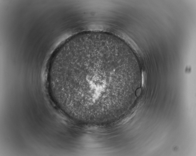 X0000101950723200808151252