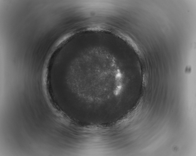 X0000101950724200808151252